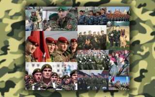 Как определить силовое подразделение по цвету берета РФ